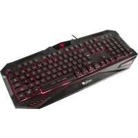 Клавиатура игровая Genesis RX39 (NKG-0849) фото 3